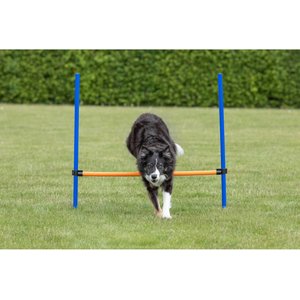 TRIXIE Agility Dog Training Hurdle