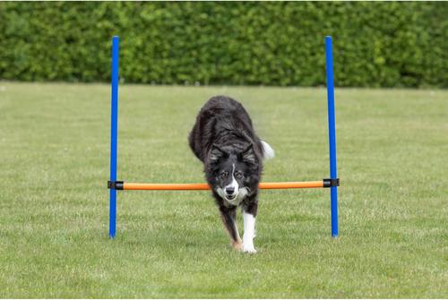 Show full view: TRIXIE Agility Dog Training Hurdle slide 6 of 8