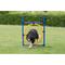 Show in main carousel: TRIXIE Agility Dog Training Ring slide 2 of 9