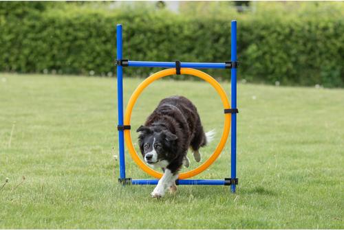 Show full view: TRIXIE Agility Dog Training Ring slide 2 of 9