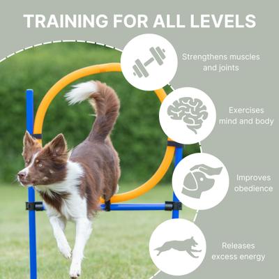 Show full view: TRIXIE Agility Dog Training Ring slide 3 of 9