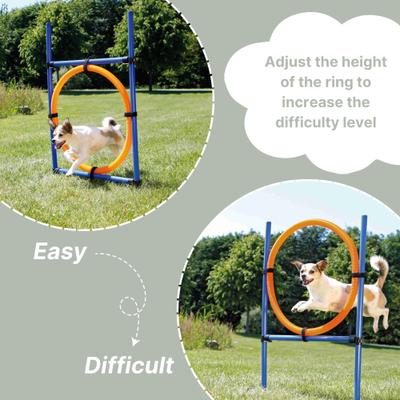 Show full view: TRIXIE Agility Dog Training Ring slide 4 of 9