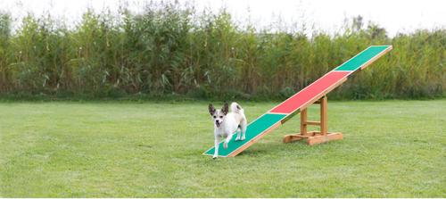 Show full view: TRIXIE Agility Dog Training Seesaw slide 3 of 10