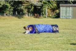 TRIXIE Agility Dog Training Tunnel, 6.5-ft slide 2 of 8