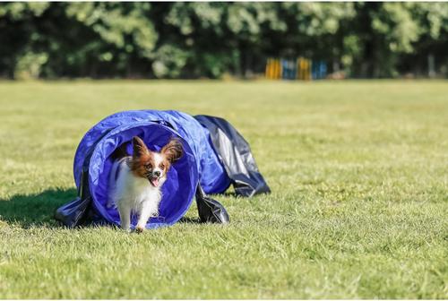 Show full view: TRIXIE Agility Dog Training Tunnel, 6.5-ft slide 3 of 10