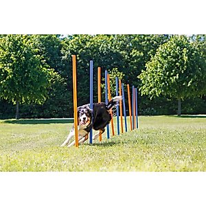 TRIXIE Agility Slalom Dog Training Poles