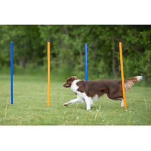 TRIXIE Agility Slalom Dog Training Poles