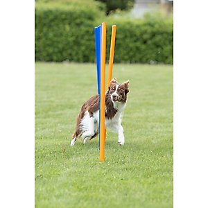 TRIXIE Agility Slalom Dog Training Poles