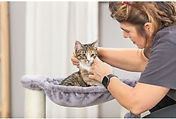 TRIXIE Baza 19.7-in Plush Cat Scratching Post with Hammock, Gray slide 2 of 7