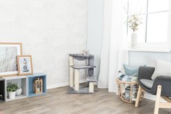 TRIXIE Baza Senior 27.6-in Cat Scratching Post, Gray slide 2 of 5