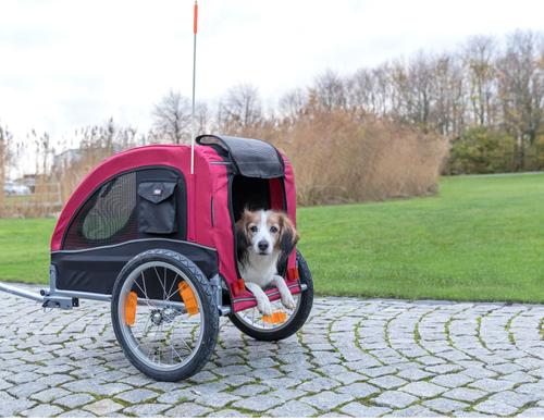 Show full view: TRIXIE Bicycle Dog Trailer, Medium slide 3 of 10