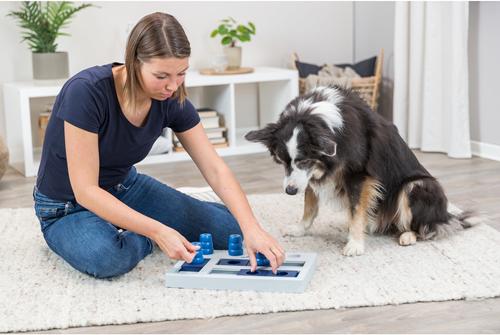 Show full view: TRIXIE Chess Activity Strategy Game Dog Toy slide 3 of 10