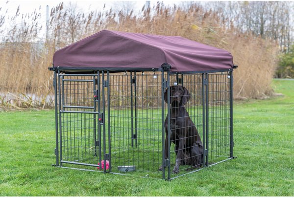TRIXIE Deluxe Outdoor Dog Kennel with Cover & Secure Lock, Black/Burgundy