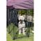 Show in main carousel: TRIXIE Deluxe Outdoor Dog Kennel with Cover, XX-Large, Black/Burgundy slide 2 of 7