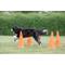 Show in main carousel: TRIXIE Dog Agility Hurdle Cone Set, Orange/Yellow slide 3 of 9