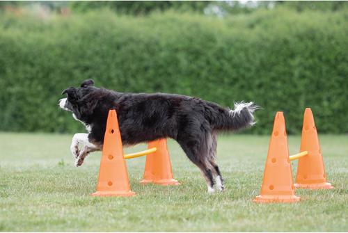 Show full view: TRIXIE Dog Agility Hurdle Cone Set, Orange/Yellow slide 3 of 9