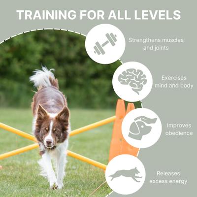 Show full view: TRIXIE Dog Agility Hurdle Cone Set, Orange/Yellow slide 4 of 9