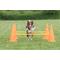 Show in main carousel: TRIXIE Dog Agility Hurdle Cone Set, Orange/Yellow slide 7 of 9