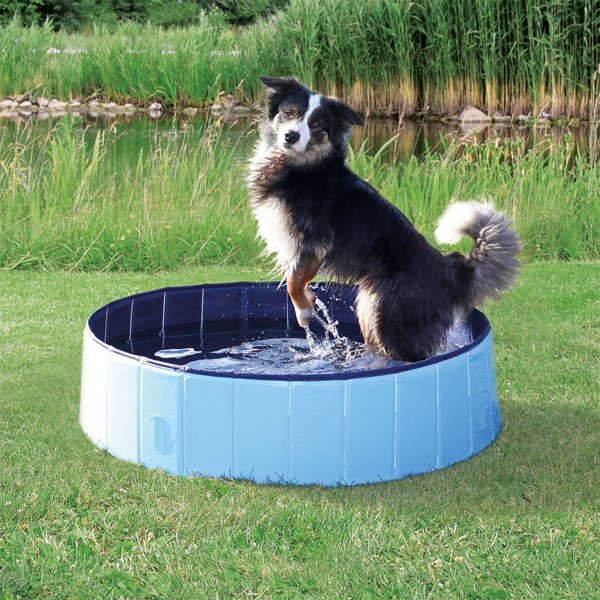 Show full view: TRIXIE Dog Splash Pool, Portable Swimming Pool, Blue, Medium slide 2 of 9