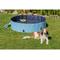 Show in main carousel: TRIXIE Dog Splash Pool, Portable Swimming Pool, Blue, Small slide 3 of 9