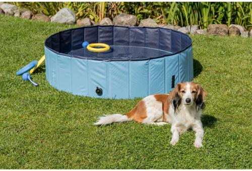 Show full view: TRIXIE Dog Splash Pool, Portable Swimming Pool, Blue, Small slide 3 of 9