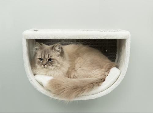 Show full view: TRIXIE Eden Wall Mounted Cat Lounge Set, Gray/White slide 4 of 7