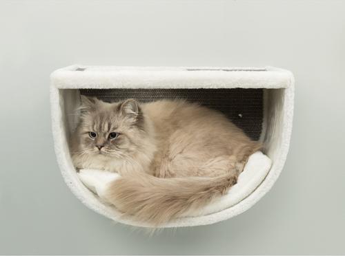 Show full view: TRIXIE Eden Wall Mounted Cat Lounge Set, Gray/White slide 6 of 7