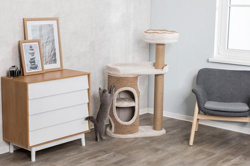 Show full view: TRIXIE Falco Scratching Post Cat Condo slide 4 of 5