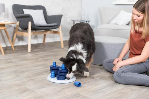 Show full view: TRIXIE Flower Tower Activity Strategy Game Dog Toy slide 3 of 10