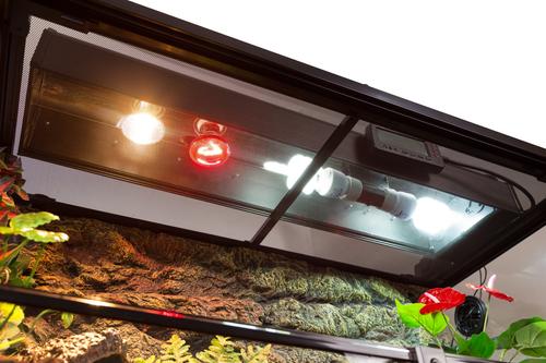 Show full view: TRIXIE Glass Reptile Terrarium, 50-gal slide 3 of 11