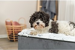 TRIXIE Harvey Indoor Cube House Cave Cat Condo slide 2 of 9