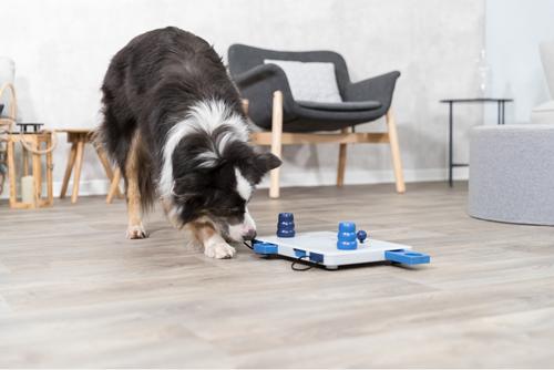 Show full view: TRIXIE Move2Win Activity Strategy Game Dog Toy slide 3 of 10