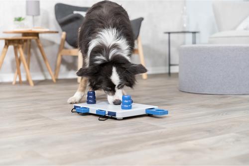 Show full view: TRIXIE Move2Win Activity Strategy Game Dog Toy slide 2 of 10