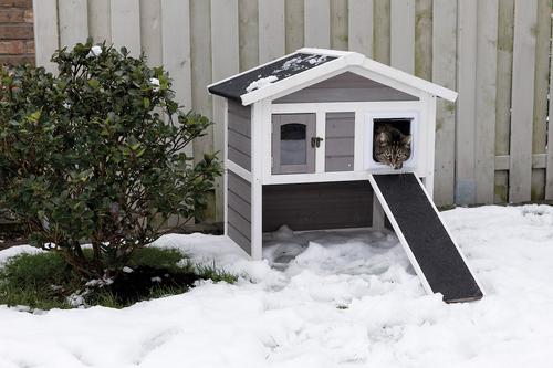 Show full view: TRIXIE Natura Insulated Cat House with Ramp slide 9 of 10