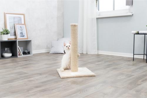 Show full view: TRIXIE Parla 24.4-in Fleece Cat Scratching Post, Beige slide 3 of 6