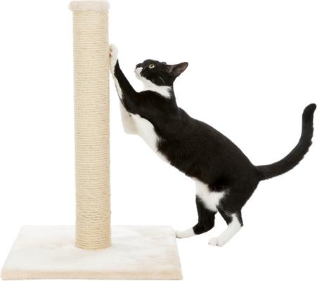 Show full view: TRIXIE Parla 24.4-in Fleece Cat Scratching Post, Beige slide 2 of 6