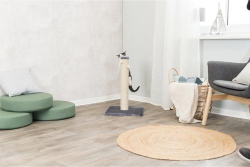 Show full view: TRIXIE Parla 24.4-in Fleece Cat Scratching Post, Platinum Gray slide 4 of 7