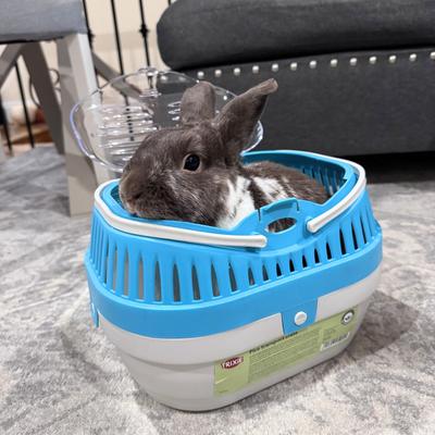 Show full view: TRIXIE Pico Transport Crate Small Pet Carrier, Assorted, Small slide 5 of 7