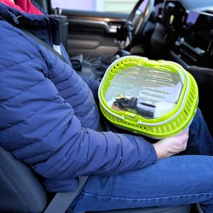 TRIXIE Pico Transport Crate Small Pet Carrier, Assorted, Small