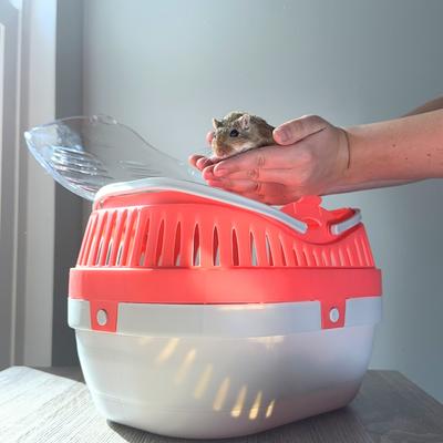 Show full view: TRIXIE Pico Transport Crate Small Pet Carrier, Assorted, Small slide 3 of 7