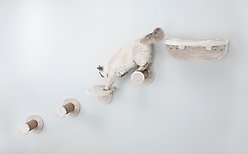 TRIXIE Playground Wall Mounted Cat Shelves, Brown slide 2 of 2