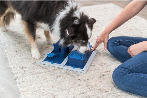 Show full view: TRIXIE Poker Box 2 Activity Strategy Game Dog Toy slide 2 of 11