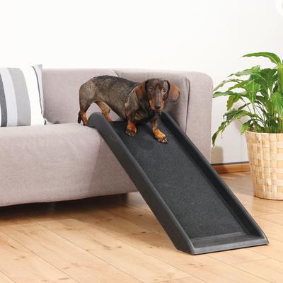 Show full view: TRIXIE Short Safety Cat & Dog Ramp, Black slide 2 of 9