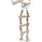 Show in main carousel: TRIXIE Small Animal Suspension Bridge with Ring, Rope & Ladder Small Pet Cage Accessory, Natural slide 5 of 5