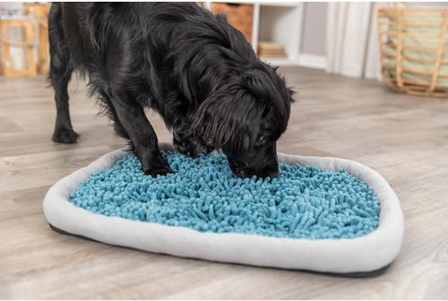 Show full view: TRIXIE Snuffle & Seek Plate, Sniff Mat, Interactive Feeding Game, Slow Feeder, Level 1 Enrichment Dog & Cat Puzzle Toy, Blue slide 4 of 10