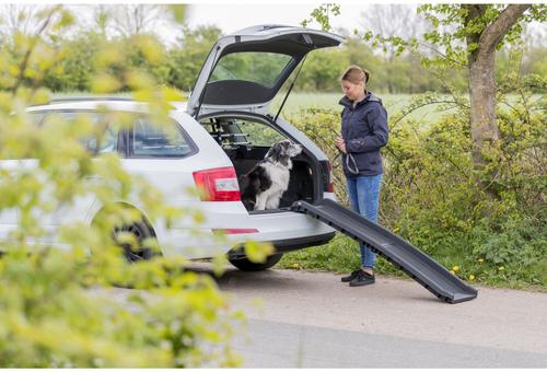 Show full view: TRIXIE Two-Fold Dog Car Ramp slide 4 of 10