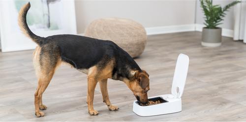 Show full view: TRIXIE TX1 Automatic Cat & Dog Food Dispenser, White slide 6 of 6
