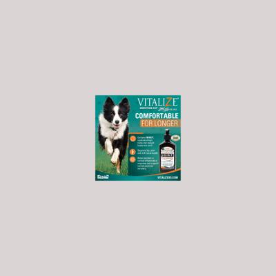Show full view: Vitalize Trixsyn Canine Performance Dog Supplement, 6-fl oz bottle slide 3 of 6