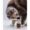 Show in main carousel: Vitalize Trixsyn Feline Hyaluronan Joint Support Cat Supplement, 2-fl oz bottle slide 5 of 9