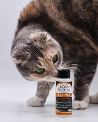 Show full view: Vitalize Trixsyn Feline Hyaluronan Joint Support Cat Supplement, 2-fl oz bottle slide 5 of 9